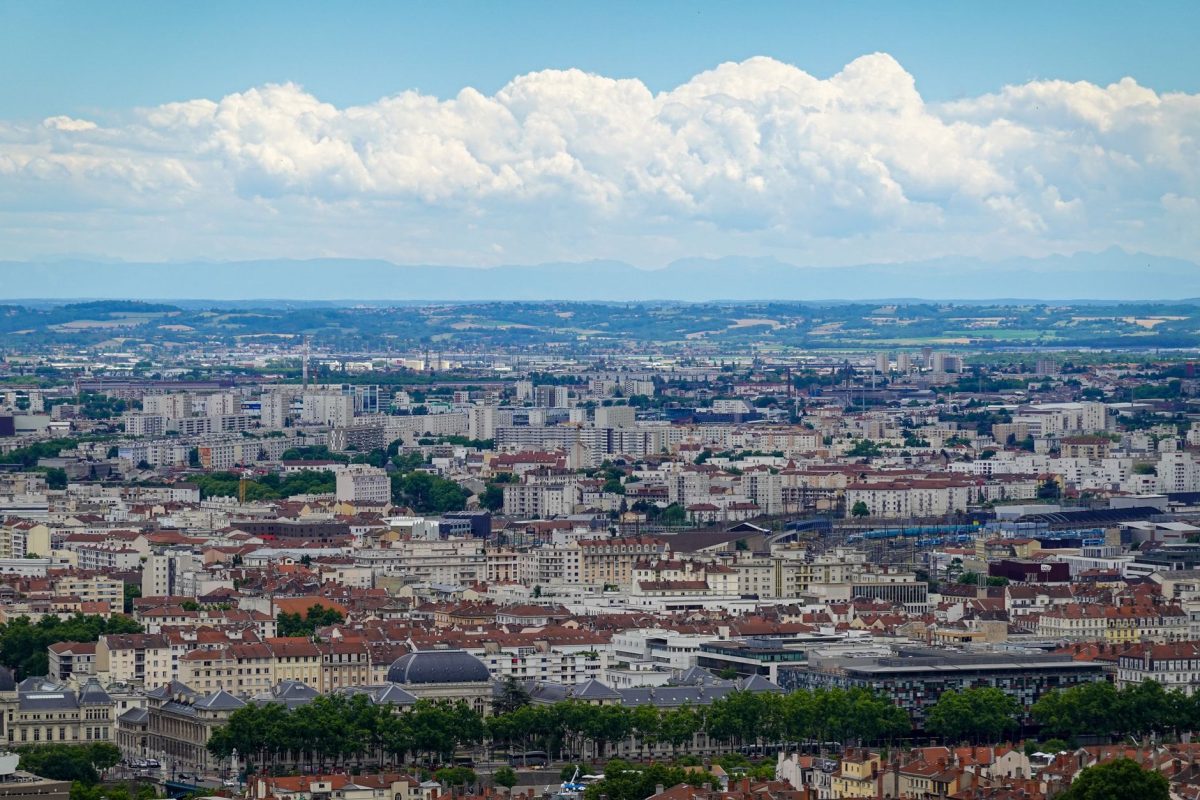 Lyon : Un Voyage Littéraire à Travers Ses Bibliothèques Incontournables