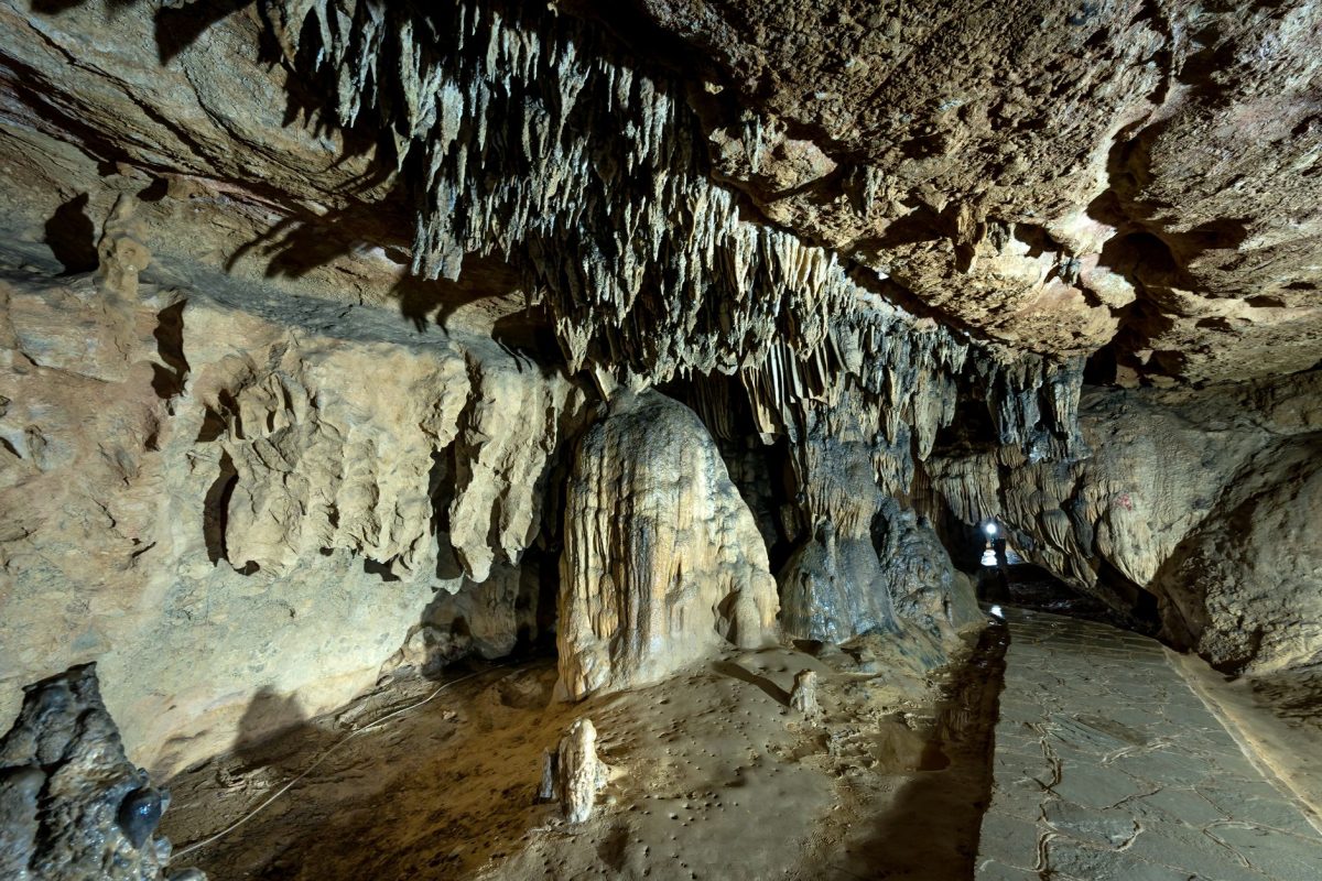 À la découverte de la grotte de Lascaux : un voyage dans le temps