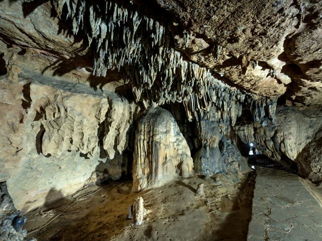 À la découverte de la grotte de Lascaux : un voyage dans le temps