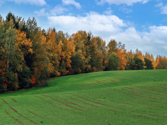 Automne musical : 7 albums classiques à ne pas manquer