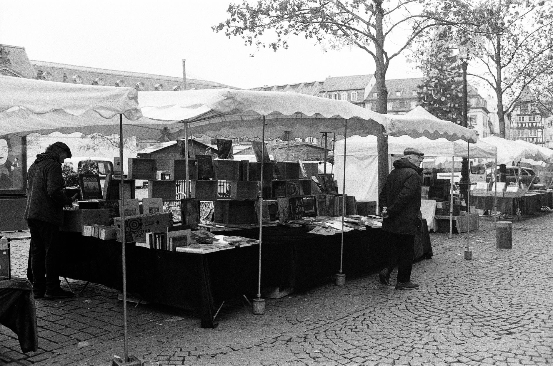 Comment choisir un festival littéraire
