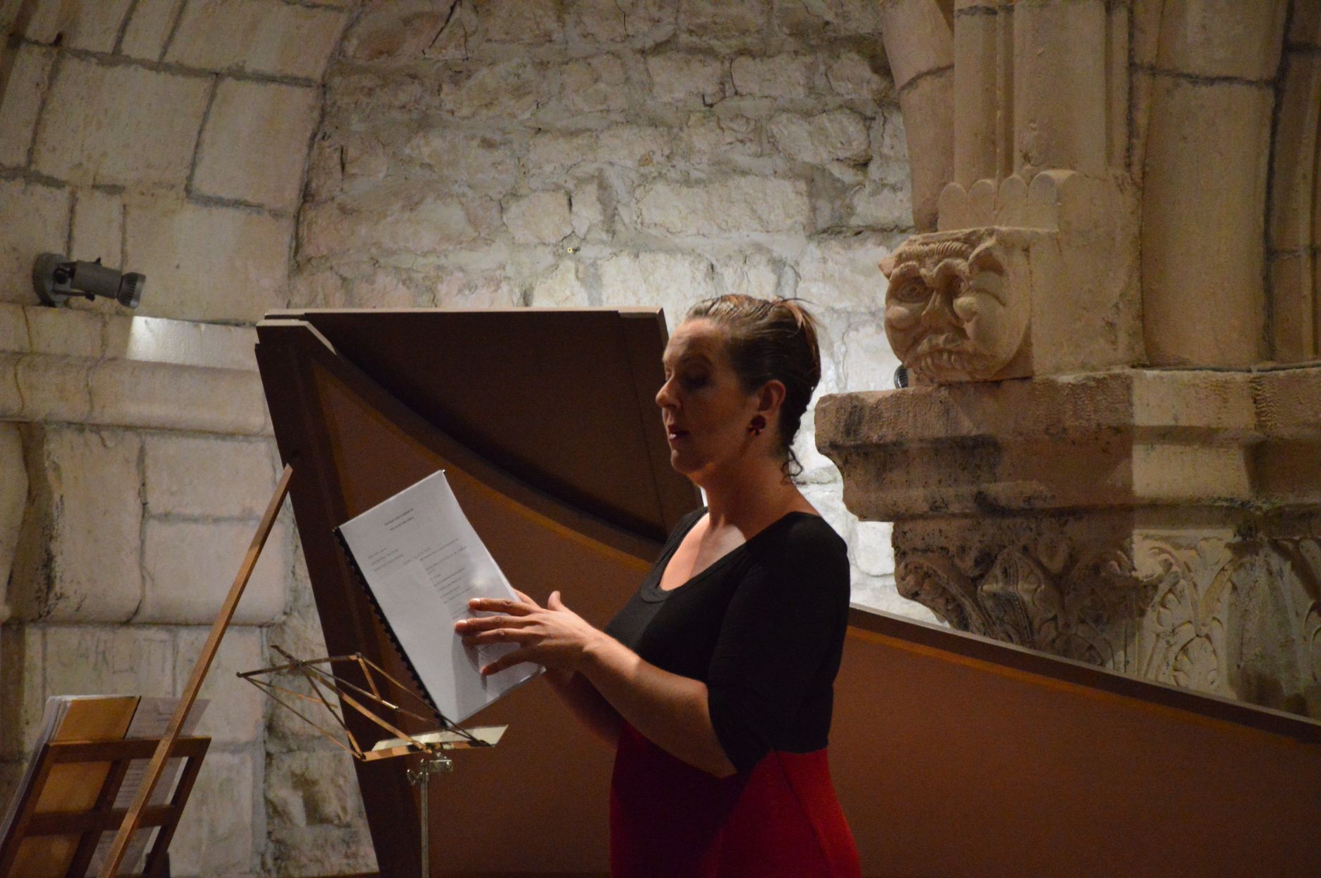 Avis pratique sur Gallica pour voyageurs culturels