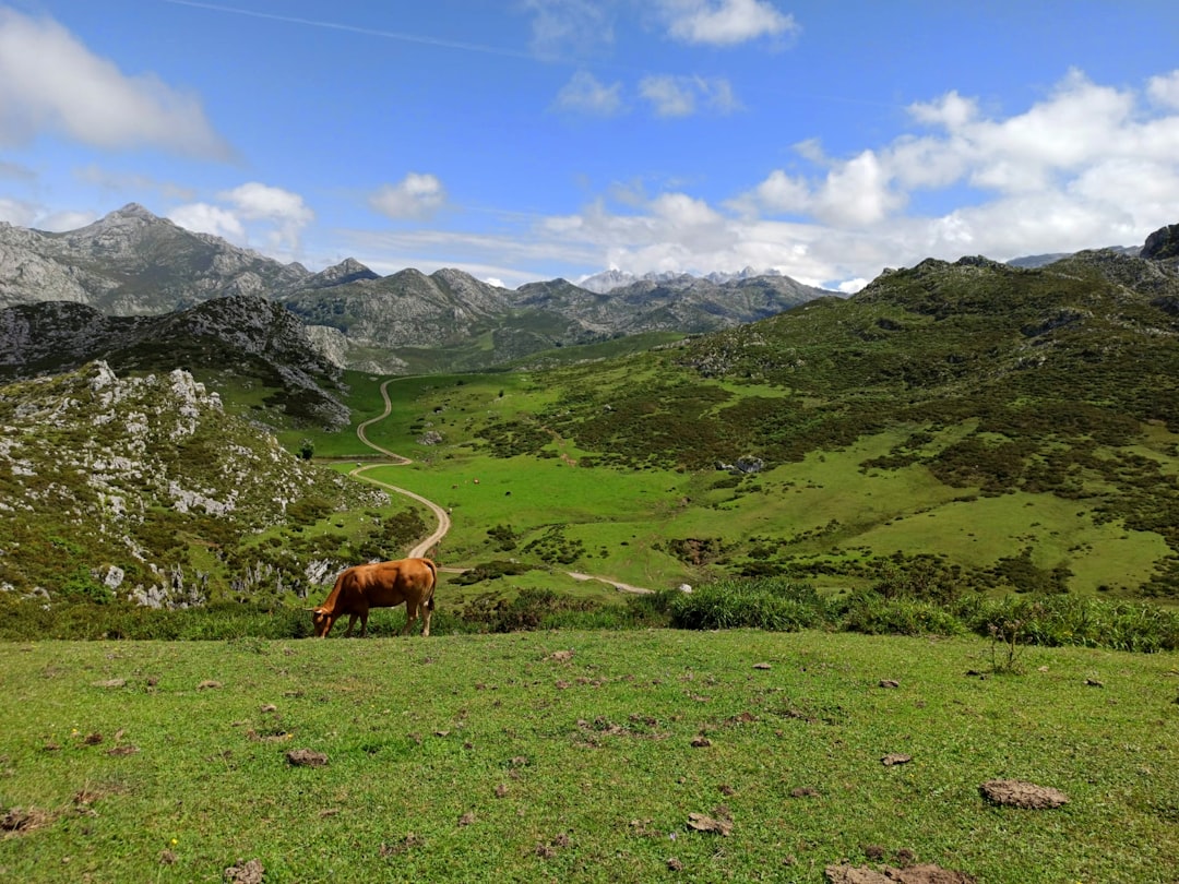 Routes des écrivains en Europe : définitions et panorama
