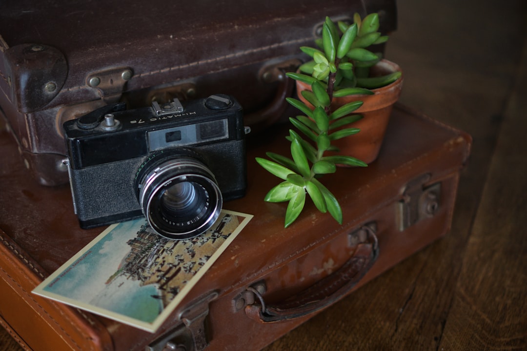 Folio classique vs Folioplus pour la lecture des classiques