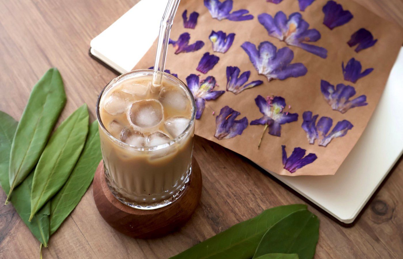 Comment faire un herbier