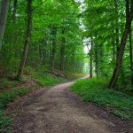 Guide pour choisir votre activité de week-end